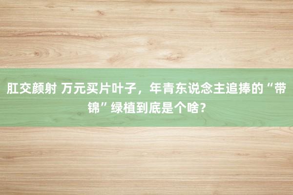 肛交颜射 万元买片叶子，年青东说念主追捧的“带锦”绿植到底是个啥？