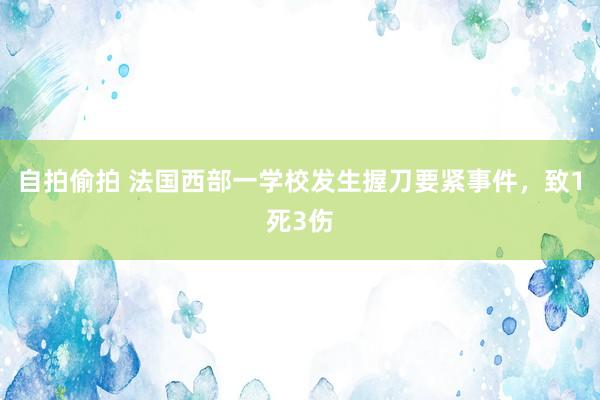自拍偷拍 法国西部一学校发生握刀要紧事件，致1死3伤