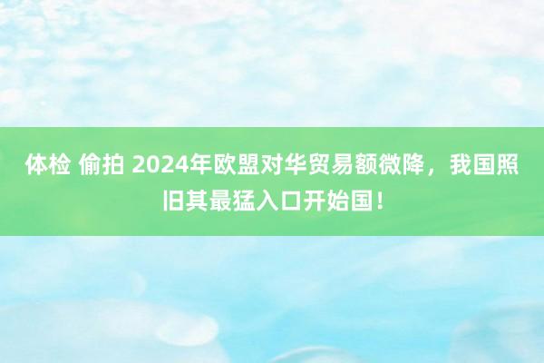 体检 偷拍 2024年欧盟对华贸易额微降，我国照旧其最猛入口开始国！
