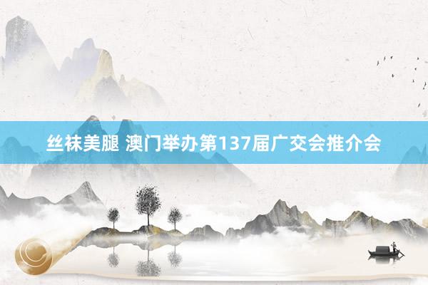 丝袜美腿 澳门举办第137届广交会推介会