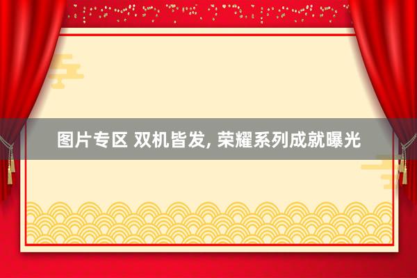 图片专区 双机皆发， 荣耀系列成就曝光