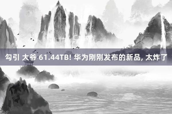 勾引 大爷 61.44TB! 华为刚刚发布的新品， 太炸了