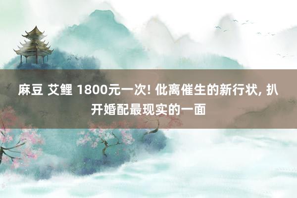 麻豆 艾鲤 1800元一次! 仳离催生的新行状， 扒开婚配最现实的一面