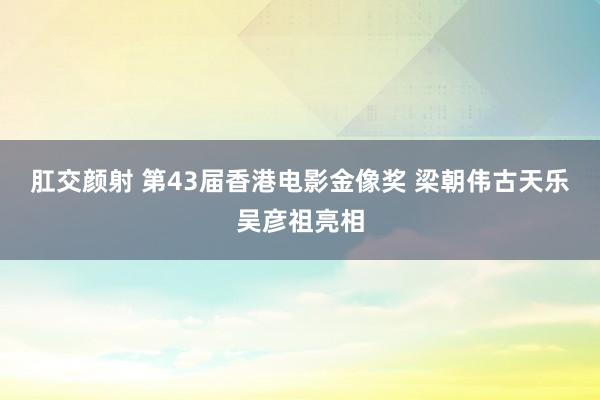肛交颜射 第43届香港电影金像奖 梁朝伟古天乐吴彦祖亮相