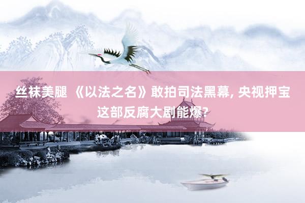 丝袜美腿 《以法之名》敢拍司法黑幕， 央视押宝这部反腐大剧能爆?