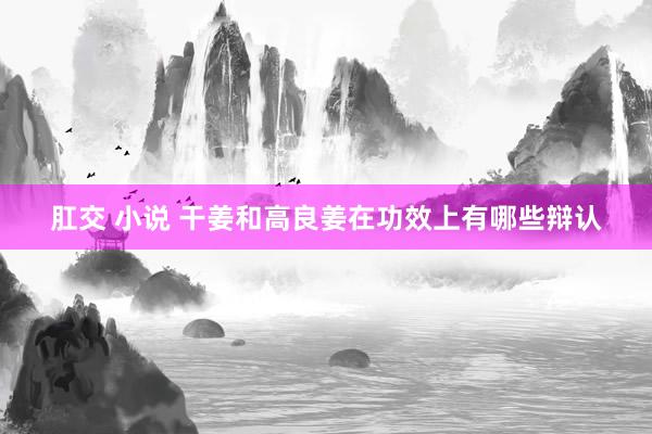 肛交 小说 干姜和高良姜在功效上有哪些辩认