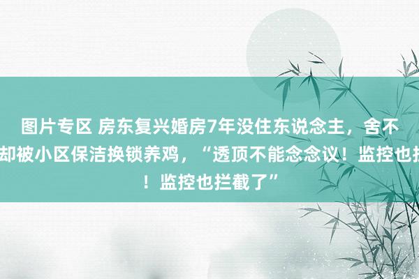 图片专区 房东复兴婚房7年没住东说念主，舍不得出租却被小区保洁换锁养鸡，“透顶不能念念议！监控也拦截了”